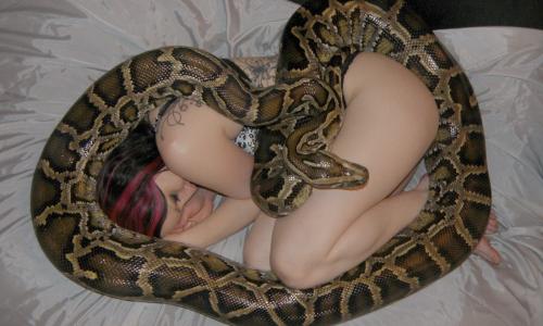 Женщина спала с питоном, пока ветеринар не рассказал страшное
